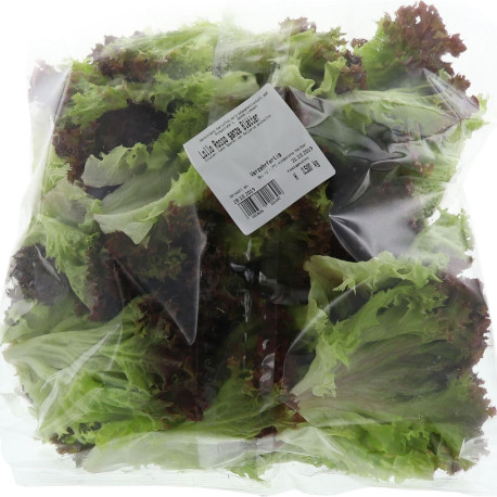 SALADE LOLLO ROUGE GRANDE FEUILLE VKV 500G